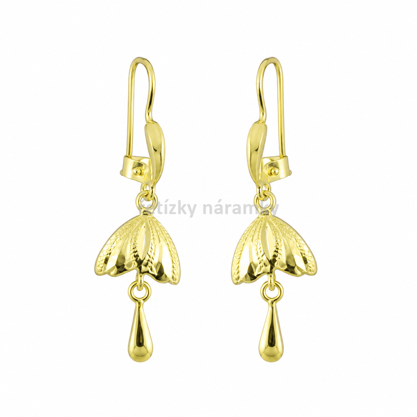 nausnice_63394